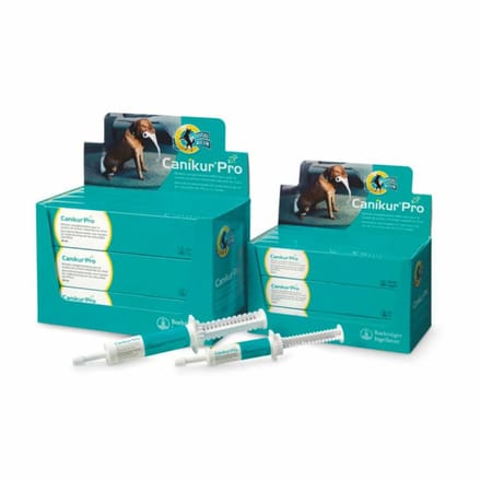 Boehringer Canikur Pro - Display 12 Spuiten Met 30ml