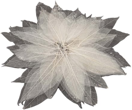 Lobbes magnolia bladskeletten creatief knutselen 50 stuks.