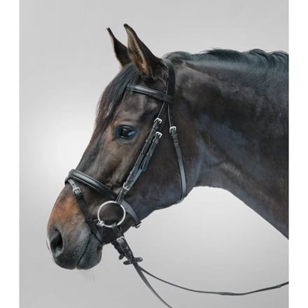 Combiné hoofdstel met neusriem Star Lifestyle