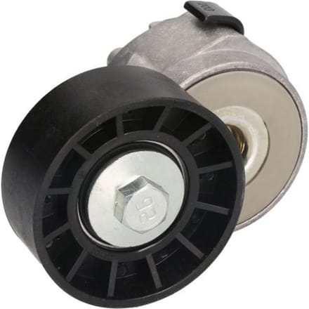 Riemspanner, Poly V-riem DAYCO APV1075