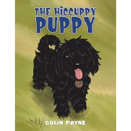 The Hiccuppy Puppy - Payne, Colin