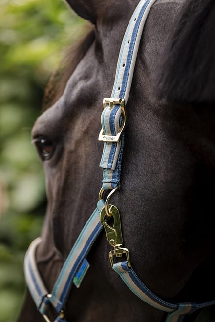 Halster Bucas Dublin Turquoise - C/S