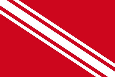 Vlag Gedinne 100x150cm