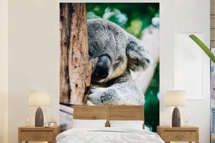 Behang - Fotobehang Koala - Dier - Boom - Breedte 145 cm x hoogte 220 cm