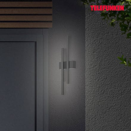 Telefunken LED buitenwandlamp Graz indirect 2-lamps zwart