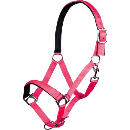 Halster voor paarden HKM Stars Softice