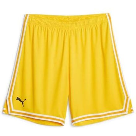 Korte Broek Puma Hoops Team Game Short