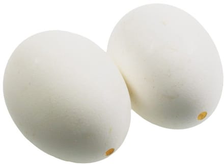 Witte kippeneieren, 10 stuks, 10 Stück