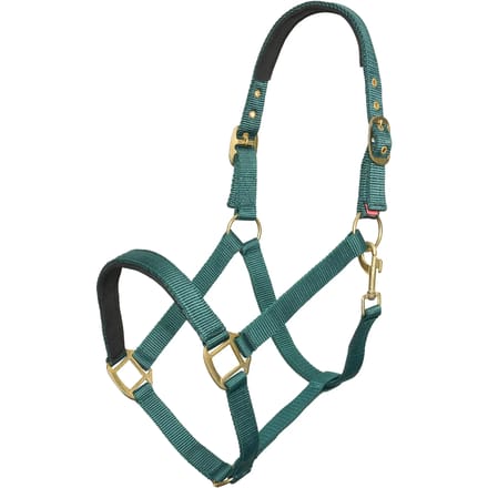 Imperial Riding - Halster - Classic Sport - Forest Green - Maat Cob
