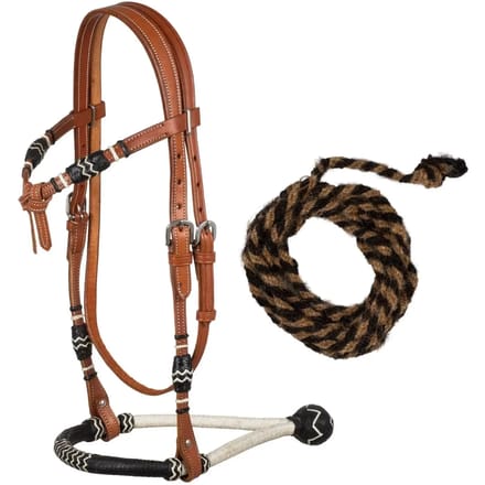 Paardrijden bridle met manen teugels Pool's