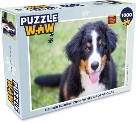 Puzzel Berner Sennenhond op het groene gras - Legpuzzel - Puzzel 1000 stukjes volwassenen