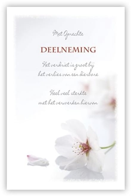Condoleance kaart "Witte bloem"