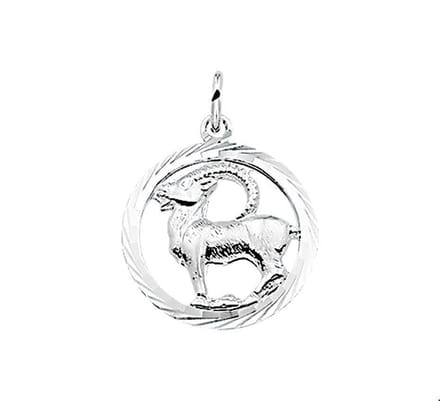 Hanger sterrenbeeld steenbok gediamanteerd - PSN1002787