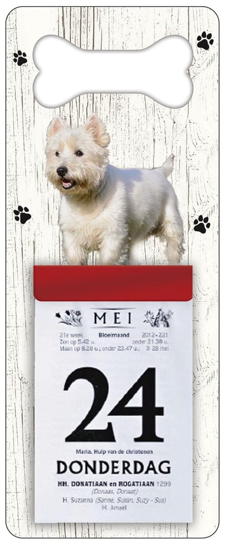 Scheurkalender 2024 Hond: West Highland White Terrier
