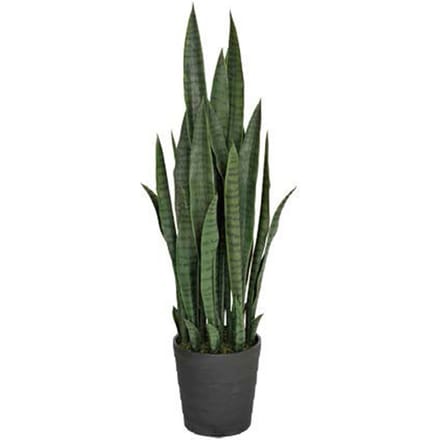 Intergard Kunstplanten Sansevieria vrouwentong 105cm groen