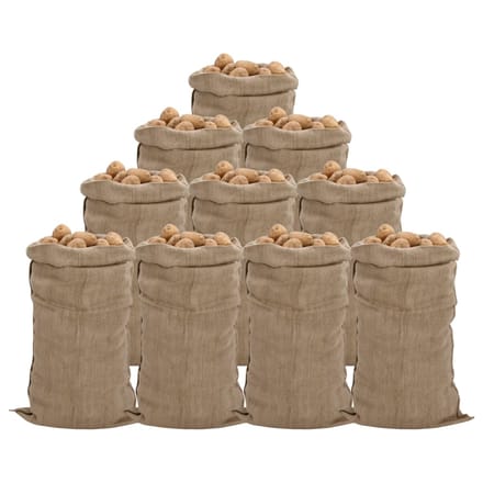 vidaXL - Jutezakken - 10 - stuks - 65x135 - cm - 100% - jute - 340 - g/m²
