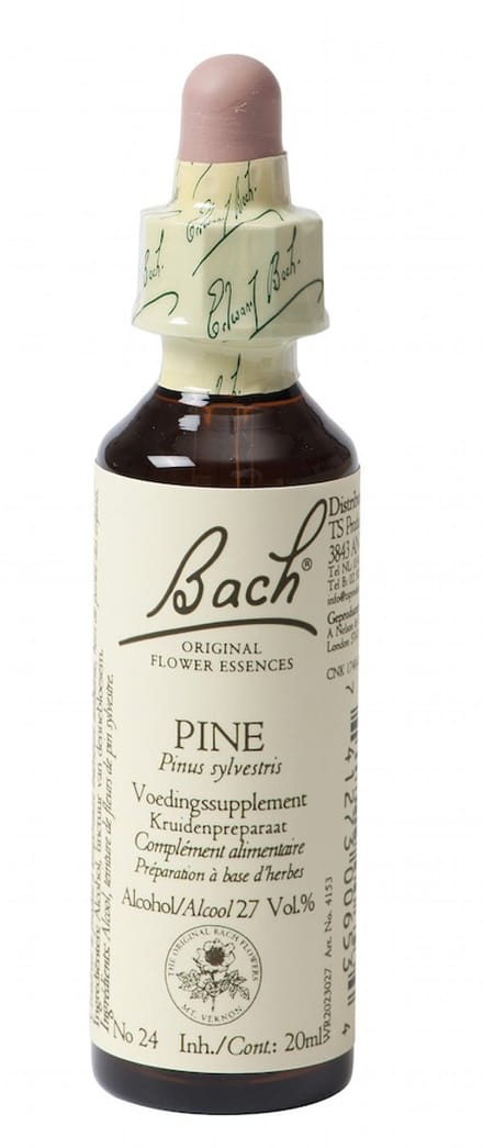 Pine/Den Bach