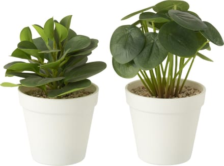 J-Line plant in pot - kunststof - groen - 2 stuks