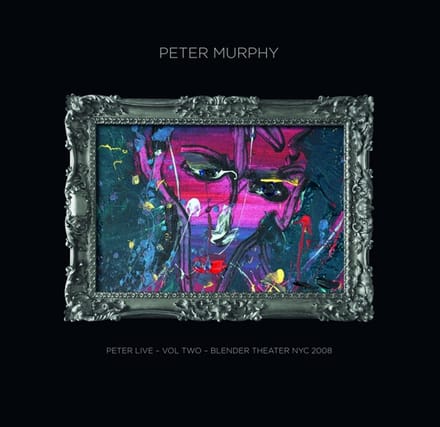 Peter Live Volume Two: Blender Theater Nyc 2008 - Peter Murphy