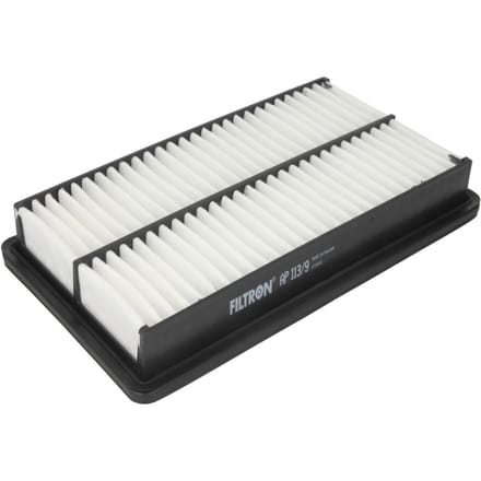 Luchtfilter FILTRON AP113/9