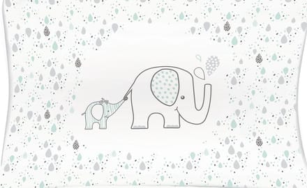 Bébé-Jou Aankleedkussen - 72x44 cm - Ollie