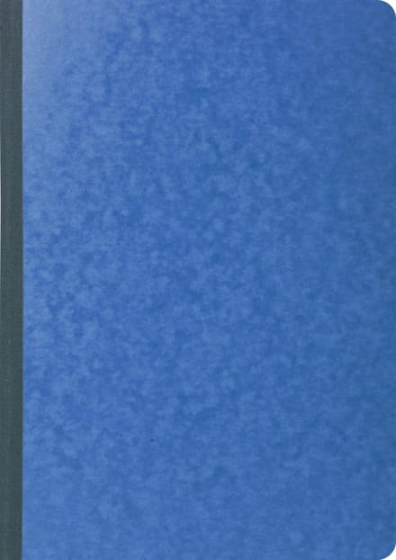 Exacompta Register 29,7x21 cm - geruit 5x5 - genummerd - 80 blad - Geassorteerd - 410E