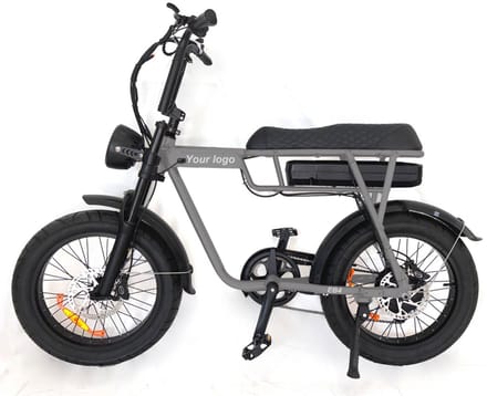 EB2 Fatbike - 20 inch - 250W motor - 80 km actieradius - grijs