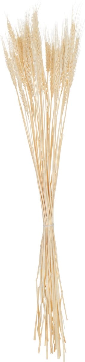 J-Line droogbloemen - bundel gedroogde Tarwe - riet - ecru