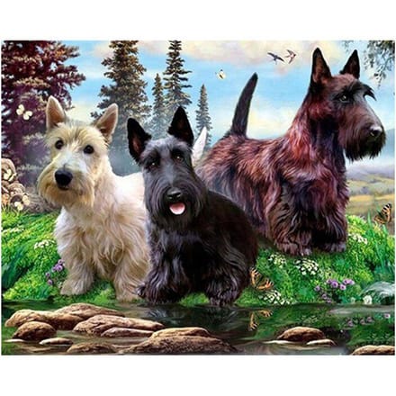 Drie Schotse Terriër 5D Diamond Mozaïek Hond DIY Diamond Borduren Kruissteek 30X40CM