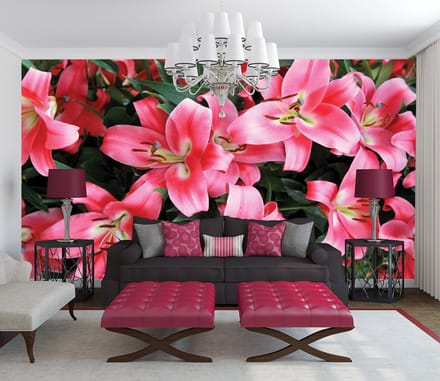 Poster | Roze | 104 x 70,5 cm