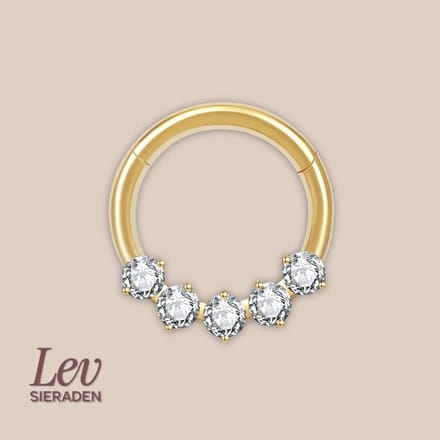 Lev Sieraden - Titanium premium neus ring - 5 zirkonia segment ring - 1.2x8mm - Goud - segment ring - neuspiercing - tragus piercing - Oorpiercing