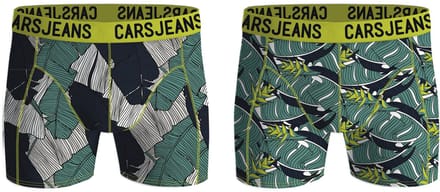 Boxer 2pack leaf m