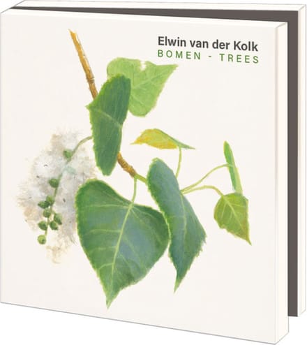 Kaartenmapje met env, vierkant: Bomen, Elwin van der Kolk