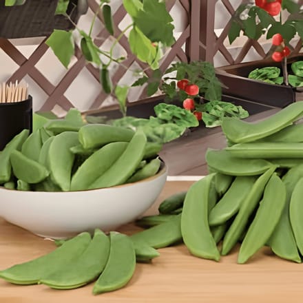 2 sets - Peul Doperwt Zaden Delikett Pisum Sativum Eenjarig
