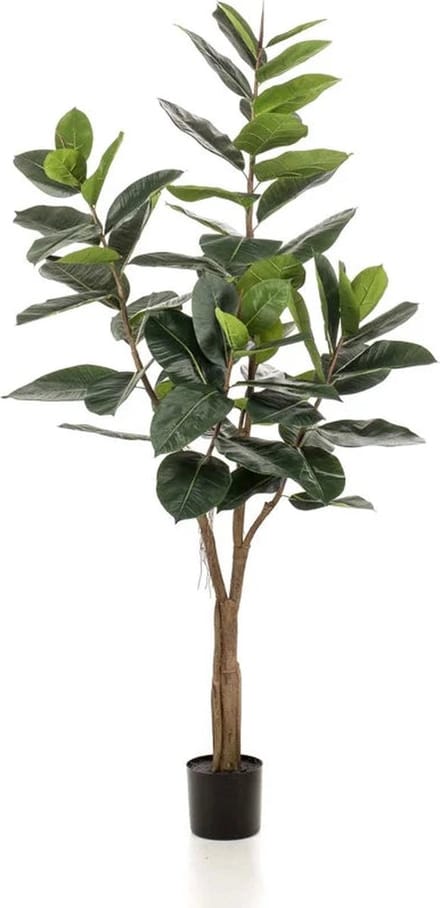Emerald - Kunstboom Ficus Elastica 180cm - Kunstplant voor binnen