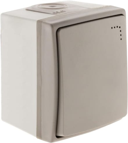 Wisselschakelaar - Drukknopschakelaar - Buiten Installatie - IP55 Waterdicht - 250 Volt - Grijs