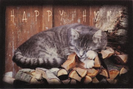 Ikado Deurmat foto slapende poes - 40 x 60 cm