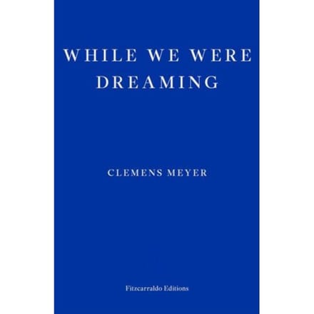 While We Were Dreaming - Clemens Meyer