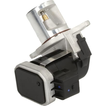 EGR-klep DELPHI EG10485