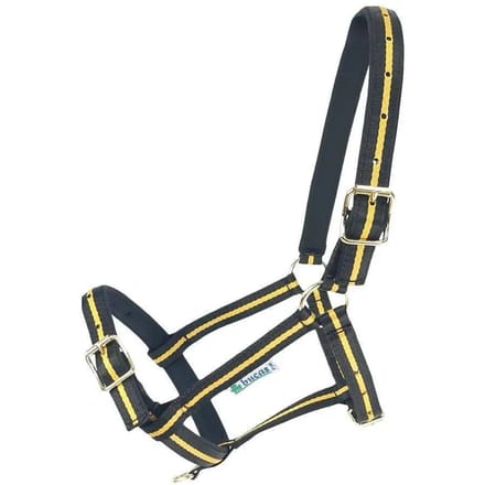 Halster voor paarden Bucas Dublin