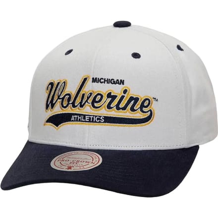 Mitchell And Ness Ncaa Michigan Wolverines Tail Sweep Pro Pet Blauw