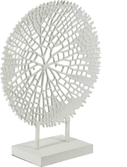 Ornament coral wit