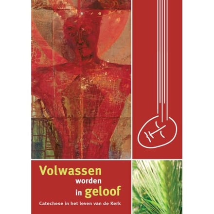 Volwassen Worden In Geloof - Bisschoppen van België