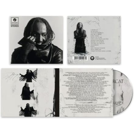 Thundercat - Distracted (CD)