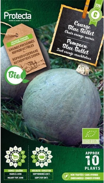 Protecta Groente zaden: Pompoen Blue Ballet Biologisch