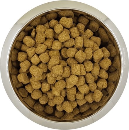 Yourdog Koningspoedel - Hondenbrokken - Senior - 12 kg