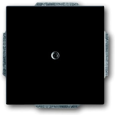 ABB Busch-Jaeger toekomstig Bedieningselement/Centrale Plaat Schakelmateriaal - 2CKA001710A3612 - E2H8C
