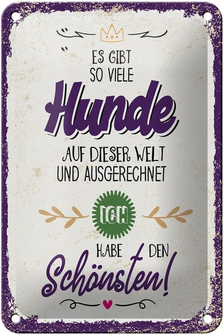Blechschild Spruch 12x18 cm so viele Hunde ich habe den Schönsten Deko Schild