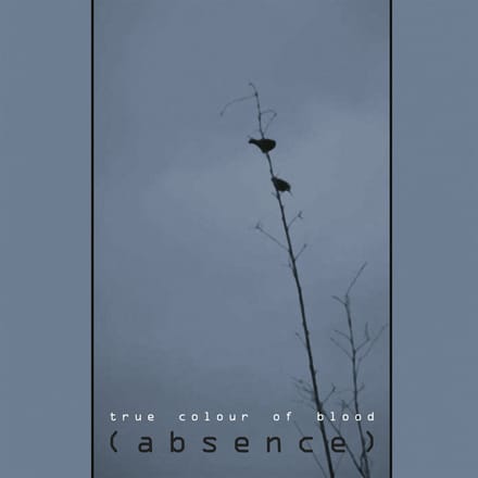True Color Of Blood - (Absence) (CD)