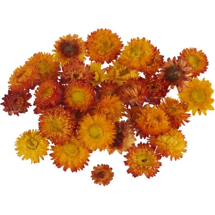 Strobloemhoofdjes - Oranje